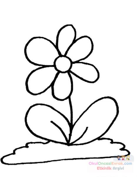 Çiçekler  (86)