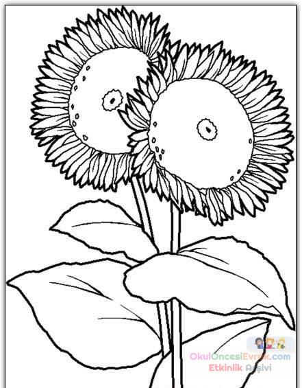 Çiçekler  (98)