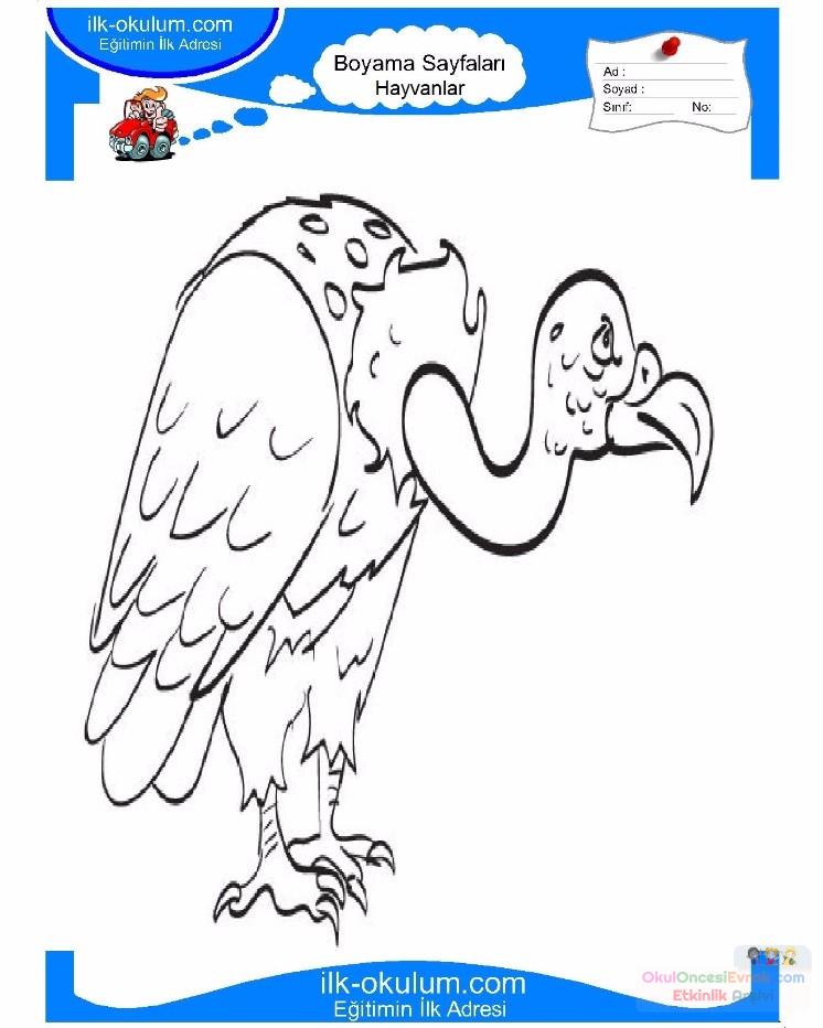 çocuklar-için-hayvan-Akbaba-boyama-sayfası-8