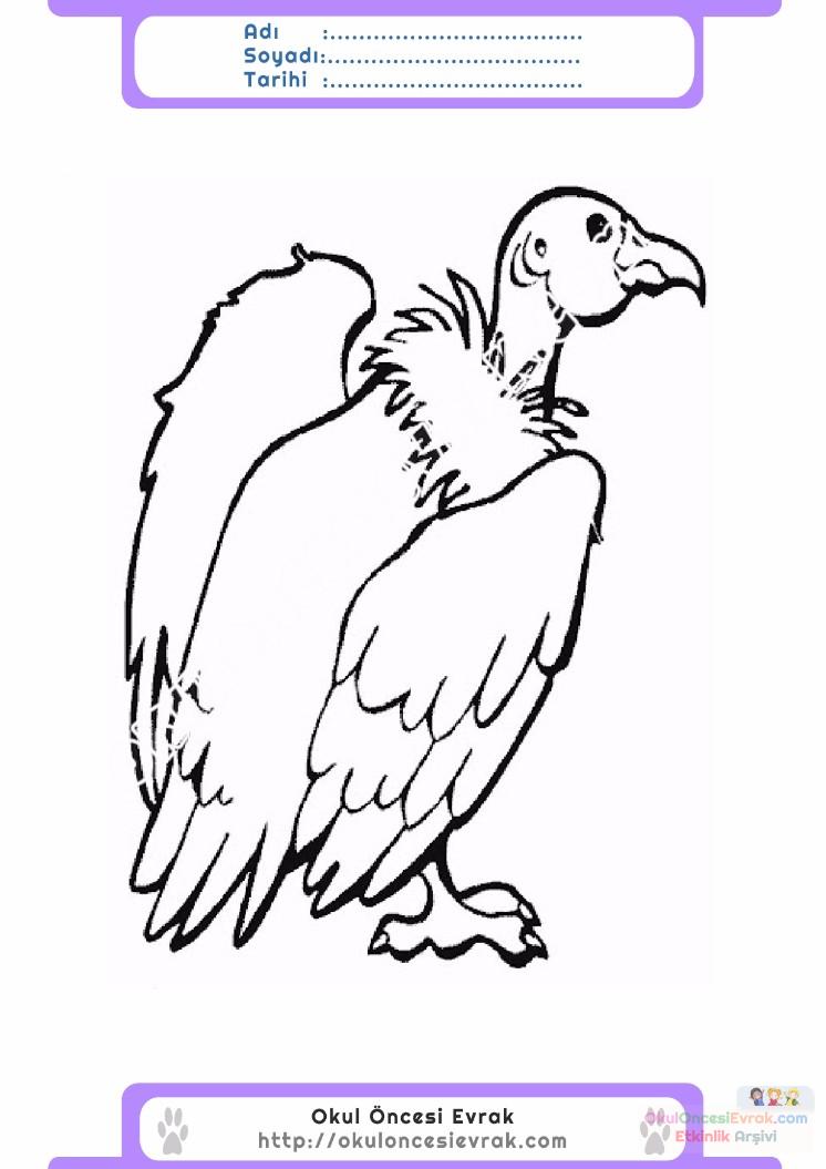 çocuklar-için-hayvan-Akbaba-boyama-sayfası-9