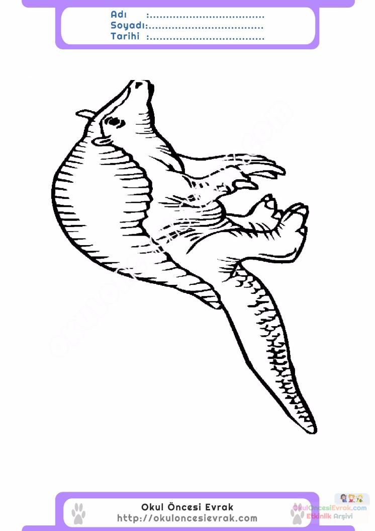 çocuklar-için-hayvan-Armodilla-boyama-sayfası-7