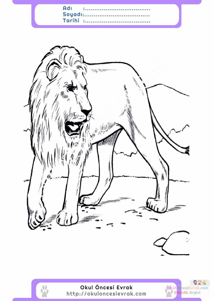çocuklar-için-hayvan-Aslan-boyama-sayfası-1