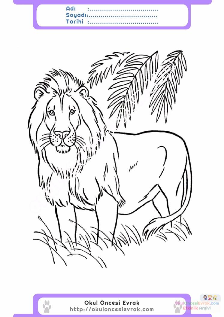 çocuklar-için-hayvan-Aslan-boyama-sayfası-11