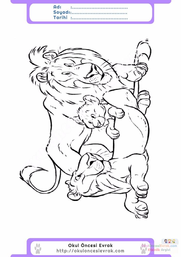 çocuklar-için-hayvan-Aslan-boyama-sayfası-23
