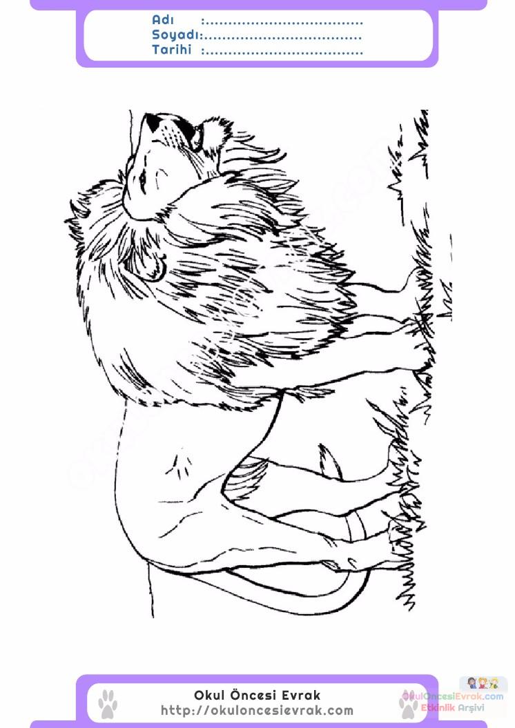 çocuklar-için-hayvan-Aslan-boyama-sayfası-25