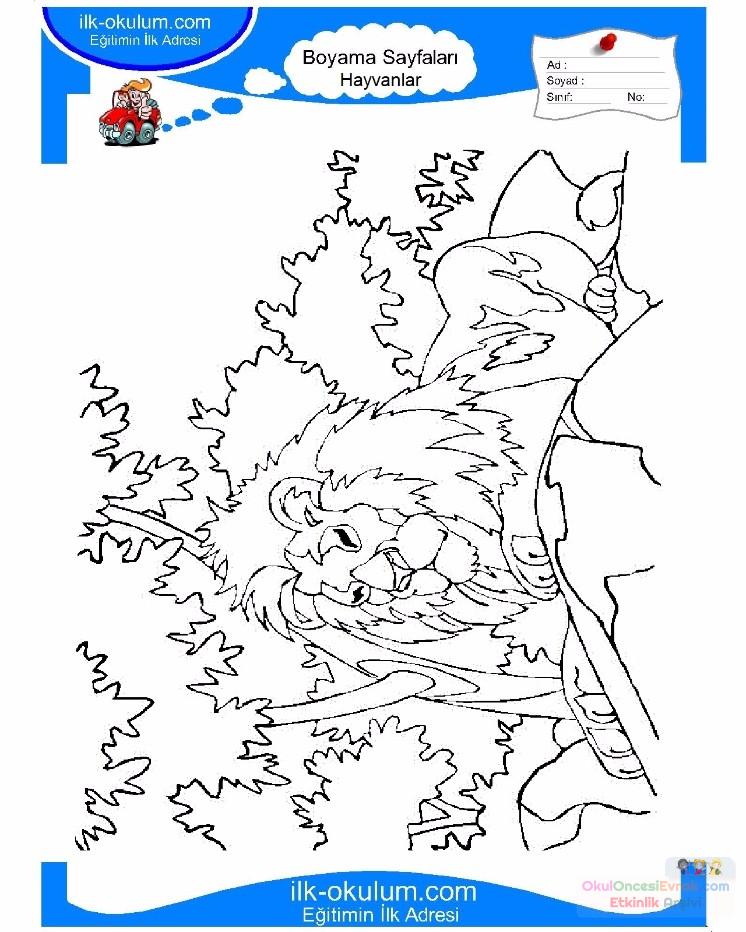 çocuklar-için-hayvan-Aslan-boyama-sayfası-33