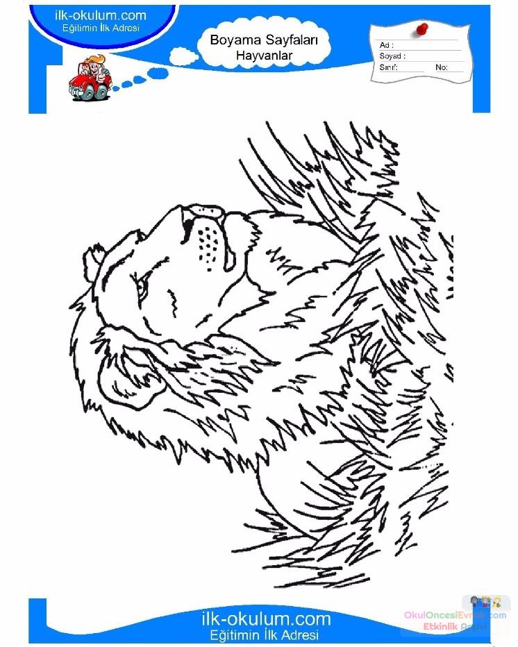 çocuklar-için-hayvan-Aslan-boyama-sayfası-4
