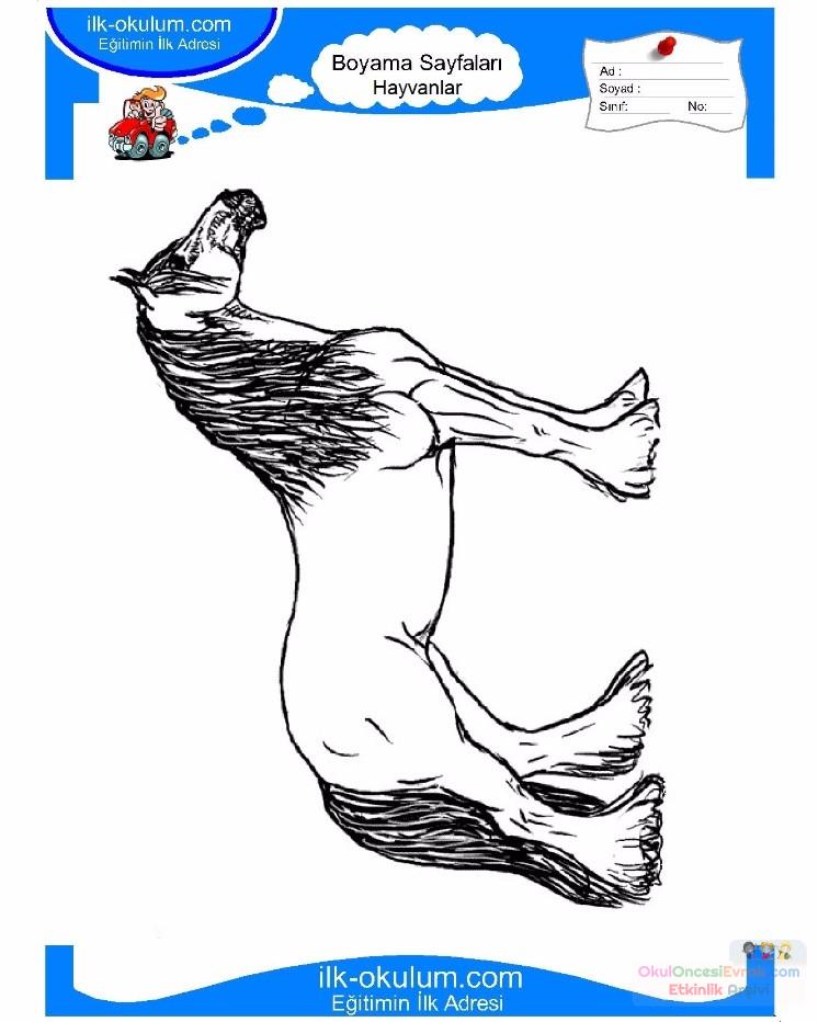 çocuklar-için-hayvan-At-boyama-sayfası-13