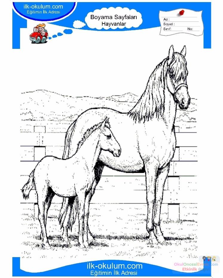 çocuklar-için-hayvan-At-boyama-sayfası-25