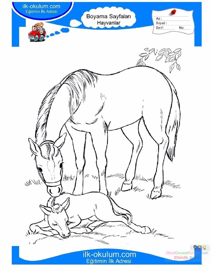 çocuklar-için-hayvan-At-boyama-sayfası-27