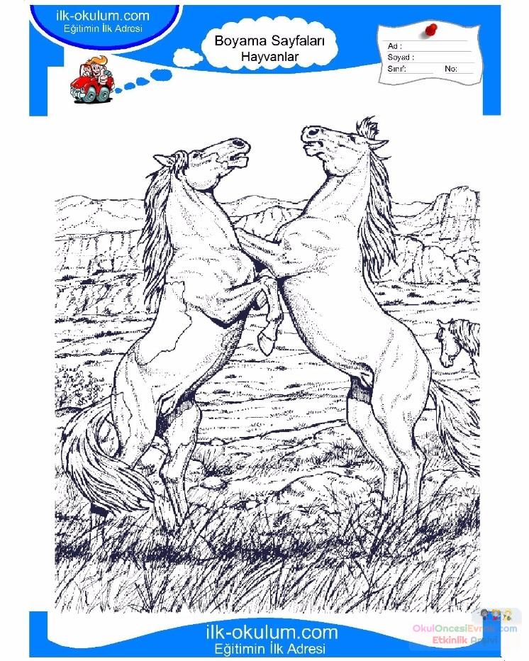çocuklar-için-hayvan-At-boyama-sayfası-28