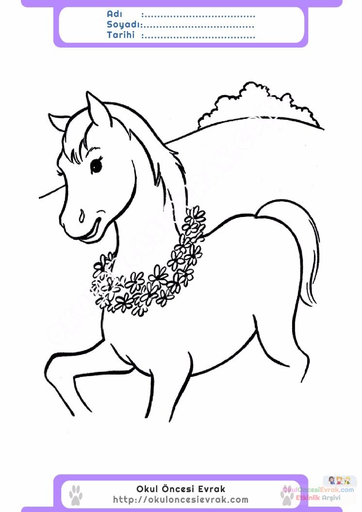 çocuklar-için-hayvan-At-boyama-sayfası-38