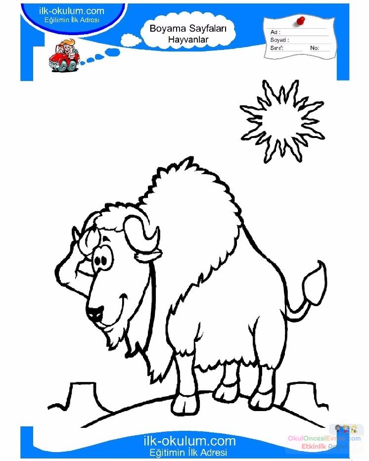 çocuklar-için-hayvan-Boğa-boyama-sayfası-1