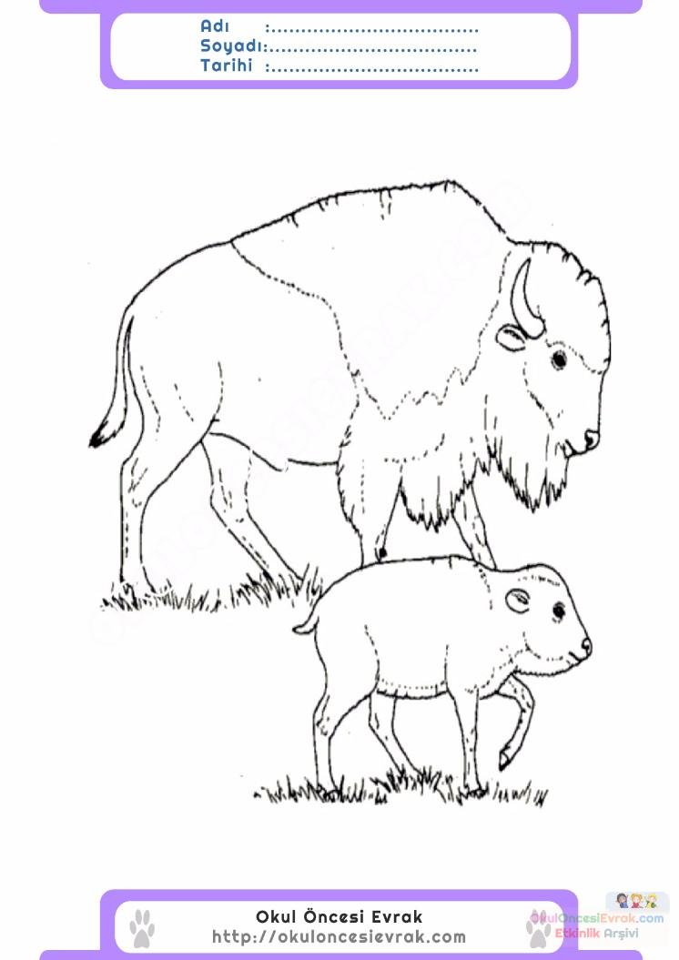 çocuklar-için-hayvan-Boğa-boyama-sayfası-10