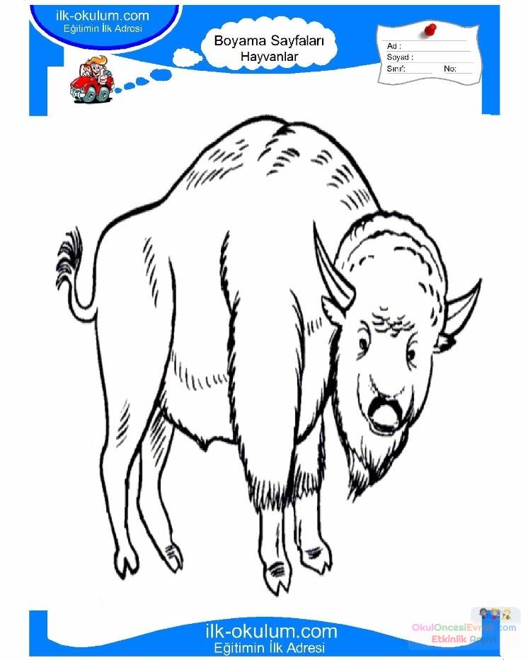 çocuklar-için-hayvan-Boğa-boyama-sayfası-11