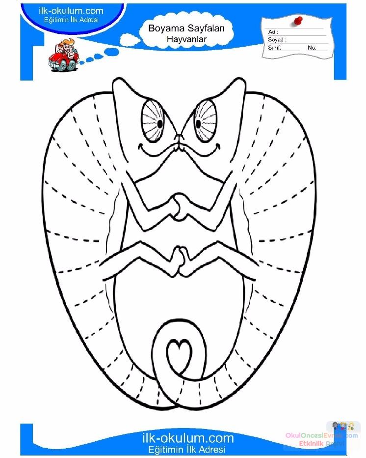 çocuklar-için-hayvan-bulakemun-boyama-sayfası-7