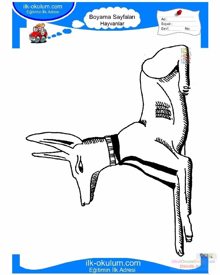 çocuklar-için-hayvan-Çakal-boyama-sayfası-5
