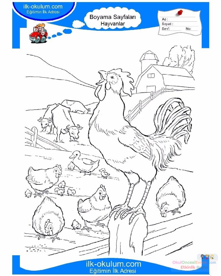 çocuklar-için-hayvan-Çiftlik-Hayvanları-boyama-sayfası-29