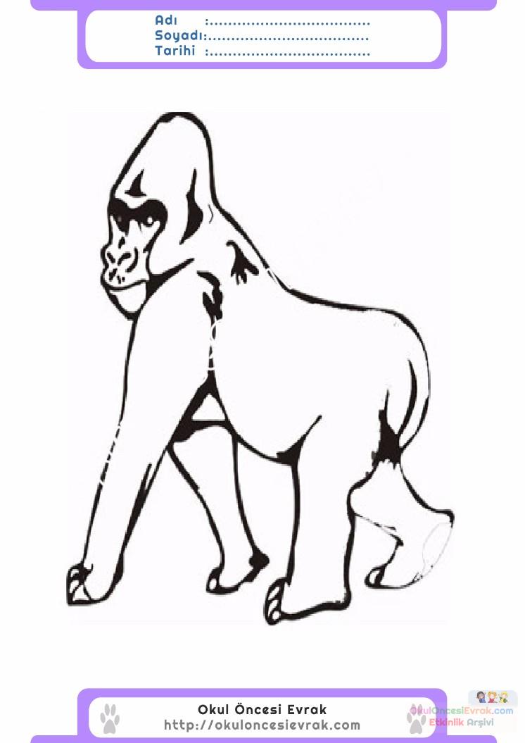 çocuklar-için-hayvan-Goril-boyama-sayfası-8