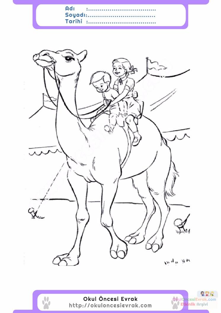 çocuklar-için-hayvan-hayvan-Deve-boyama-sayfası-41