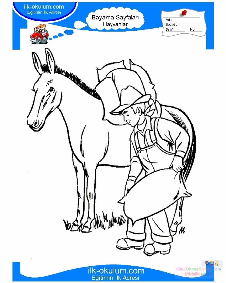 çocuklar-için-hayvan-hayvan-Eşek-boyama-sayfası-18