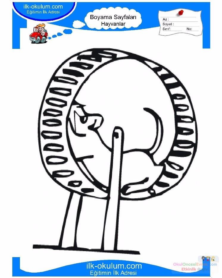 çocuklar-için-hayvan-hayvan-Fare-boyama-sayfası-17