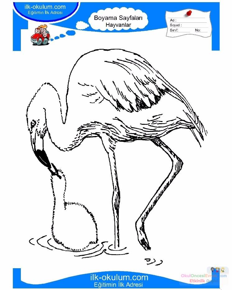 çocuklar-için-hayvan-hayvan-Flamingo-boyama-sayfası-12