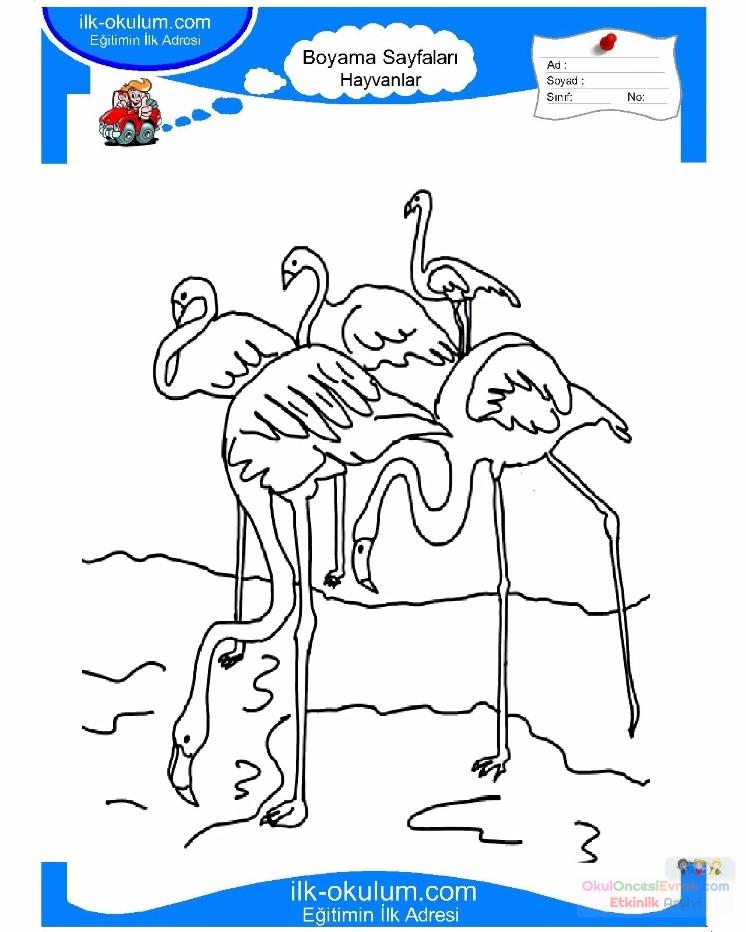 çocuklar-için-hayvan-hayvan-Flamingo-boyama-sayfası-16