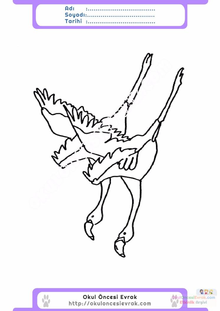 çocuklar-için-hayvan-hayvan-Flamingo-boyama-sayfası-17