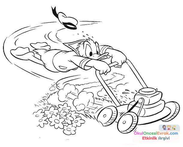Donald Duck Boyama (13)