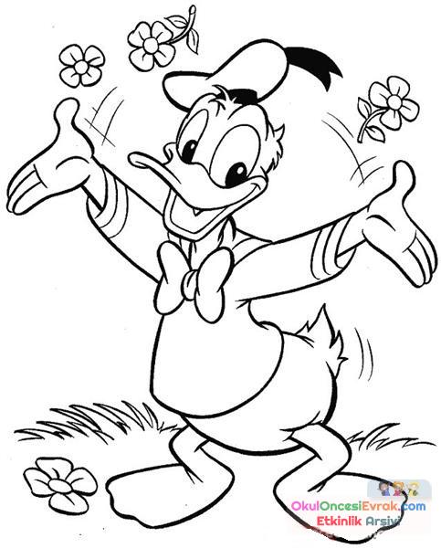 Donald Duck Boyama (3)