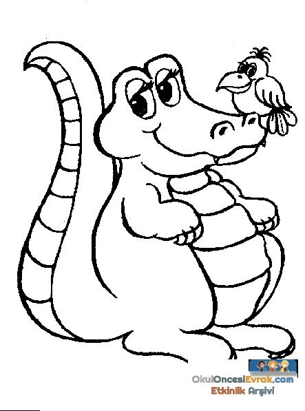 drache011