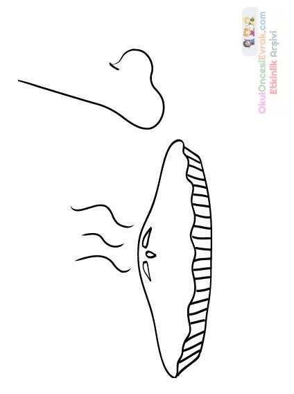 duyu organları (12)