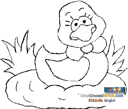 ente_huhn002