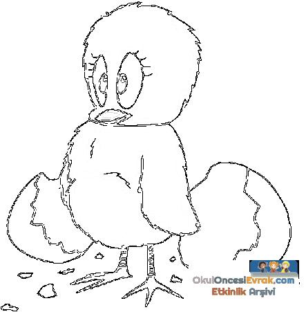 ente_huhn003