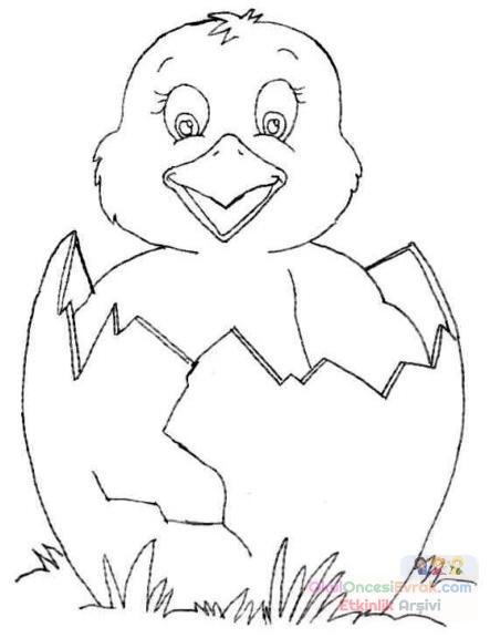ente_huhn004
