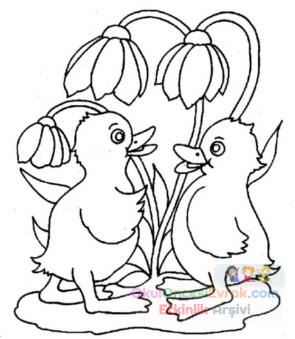 ente_huhn007