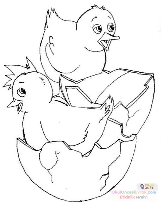 ente_huhn008
