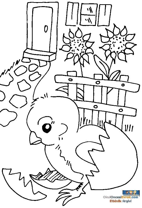 ente_huhn009