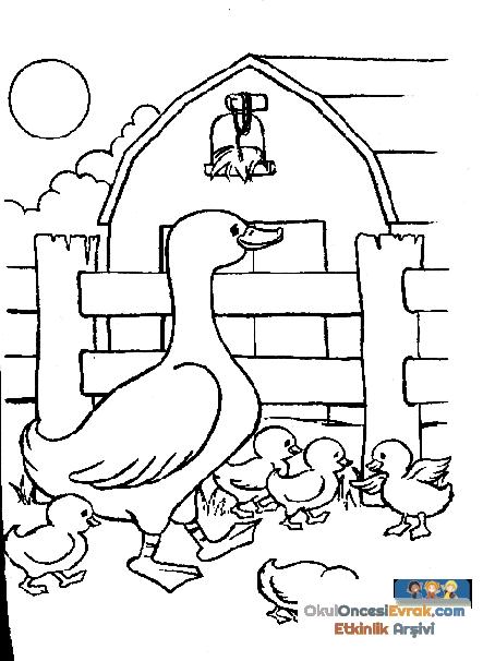 ente_huhn029