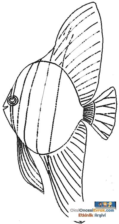 fish-cor