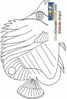 fish-cos