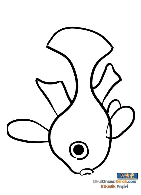 fish004
