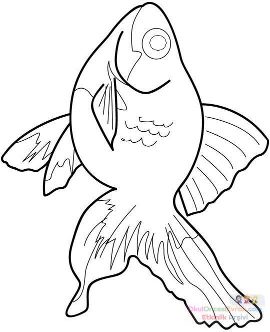 fish3