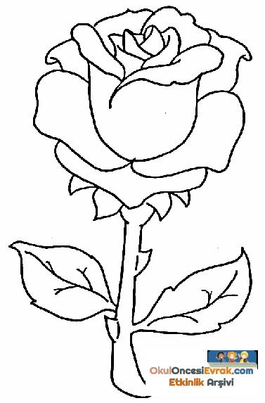 Gül 