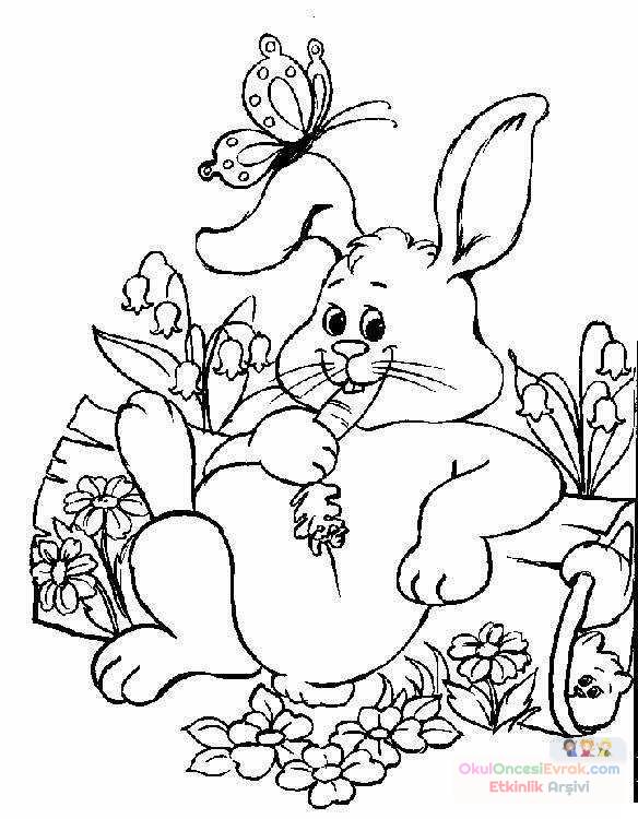 hase003