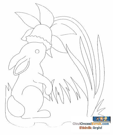 hase019