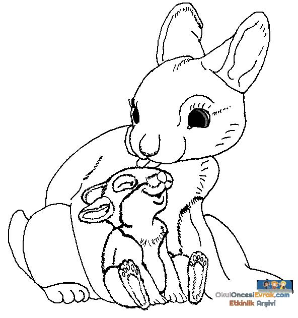 hase020