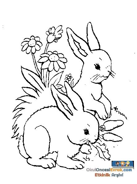 hase021