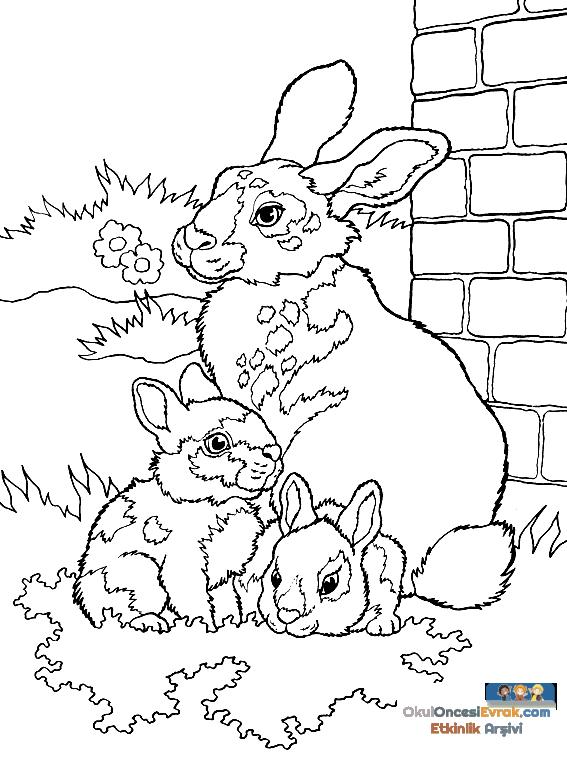 hase022